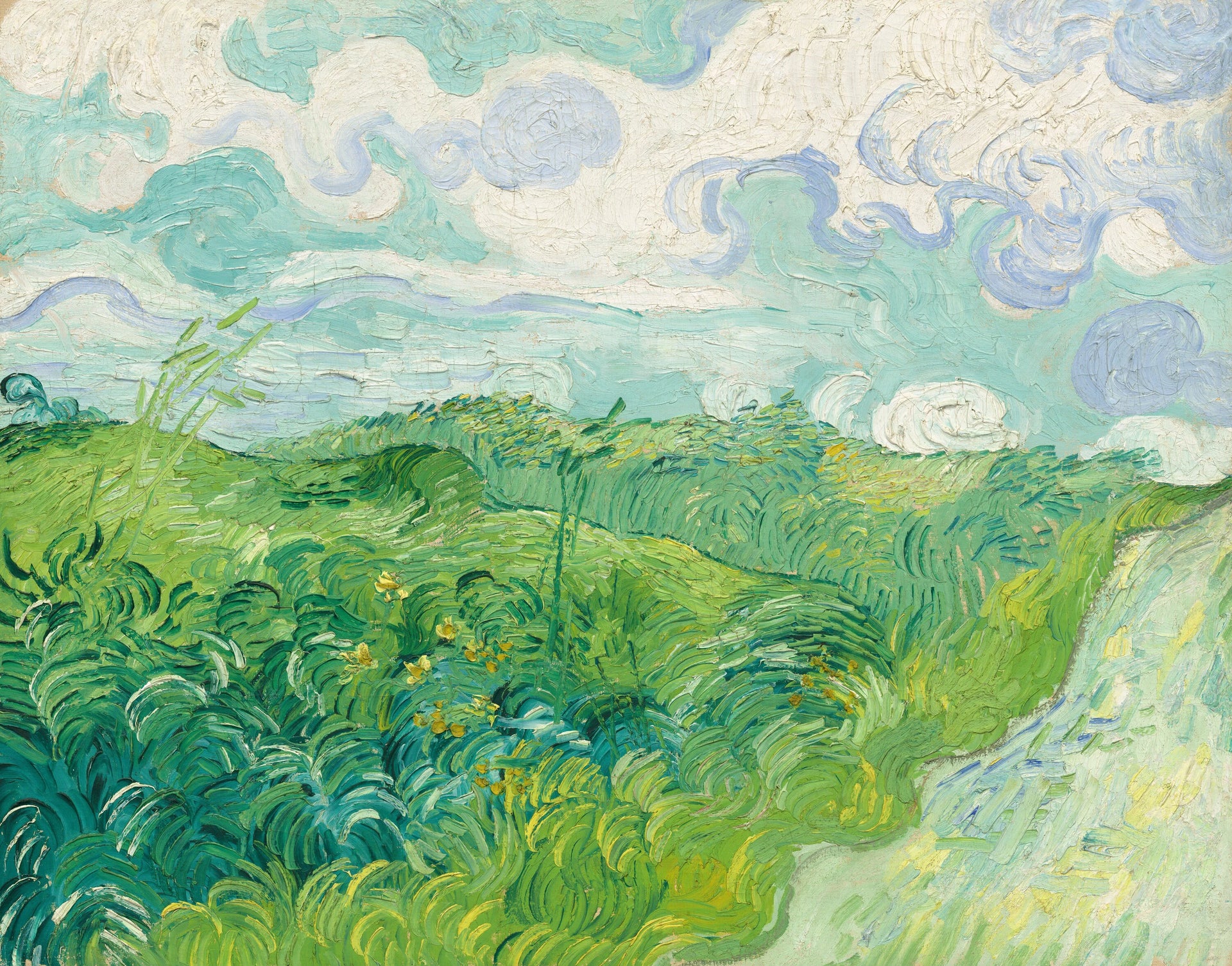 Champs de blé vert, Auvers - Vincent van Gogh
