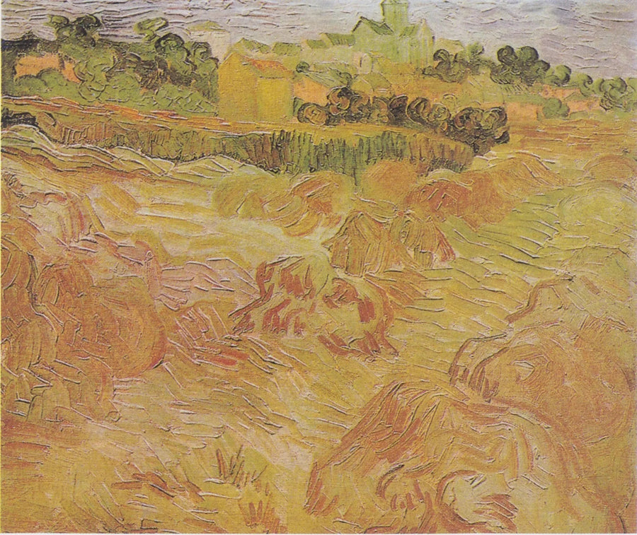 Campi di grano con Auvers sullo sfondo - Vincent van Gogh