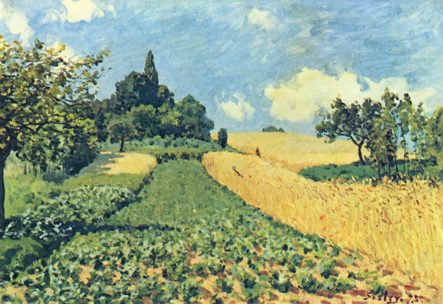 Campi di grano sulle alture di Argenteuil - Alfred Sisley