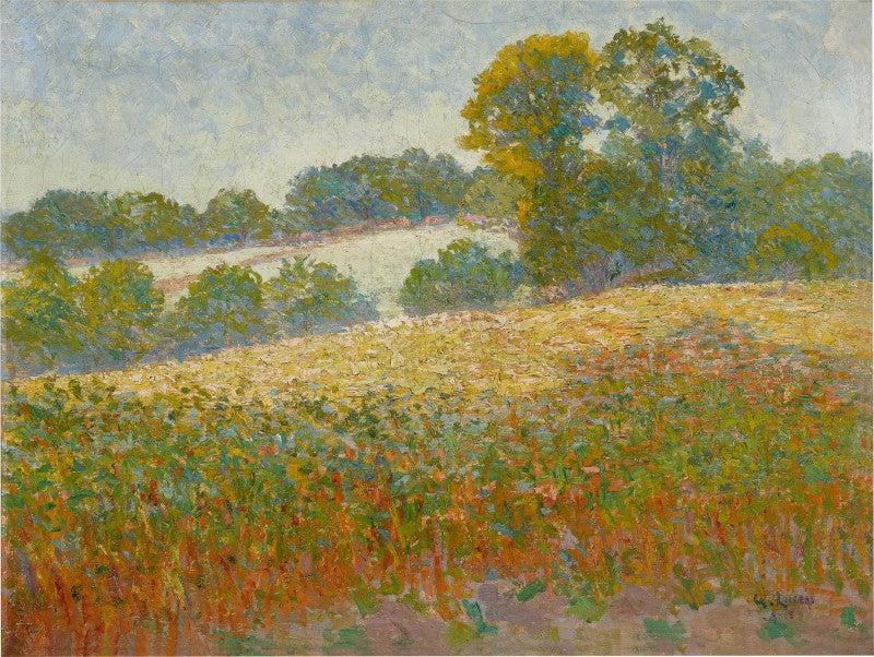 Campi di fiori - Gustave Loiseau