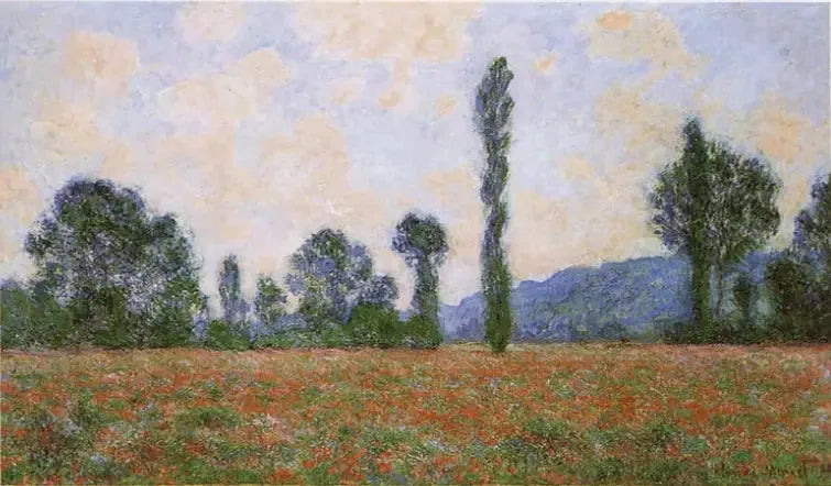 Campi di papille - Claude Monet