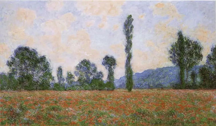 Campi di papille - Claude Monet