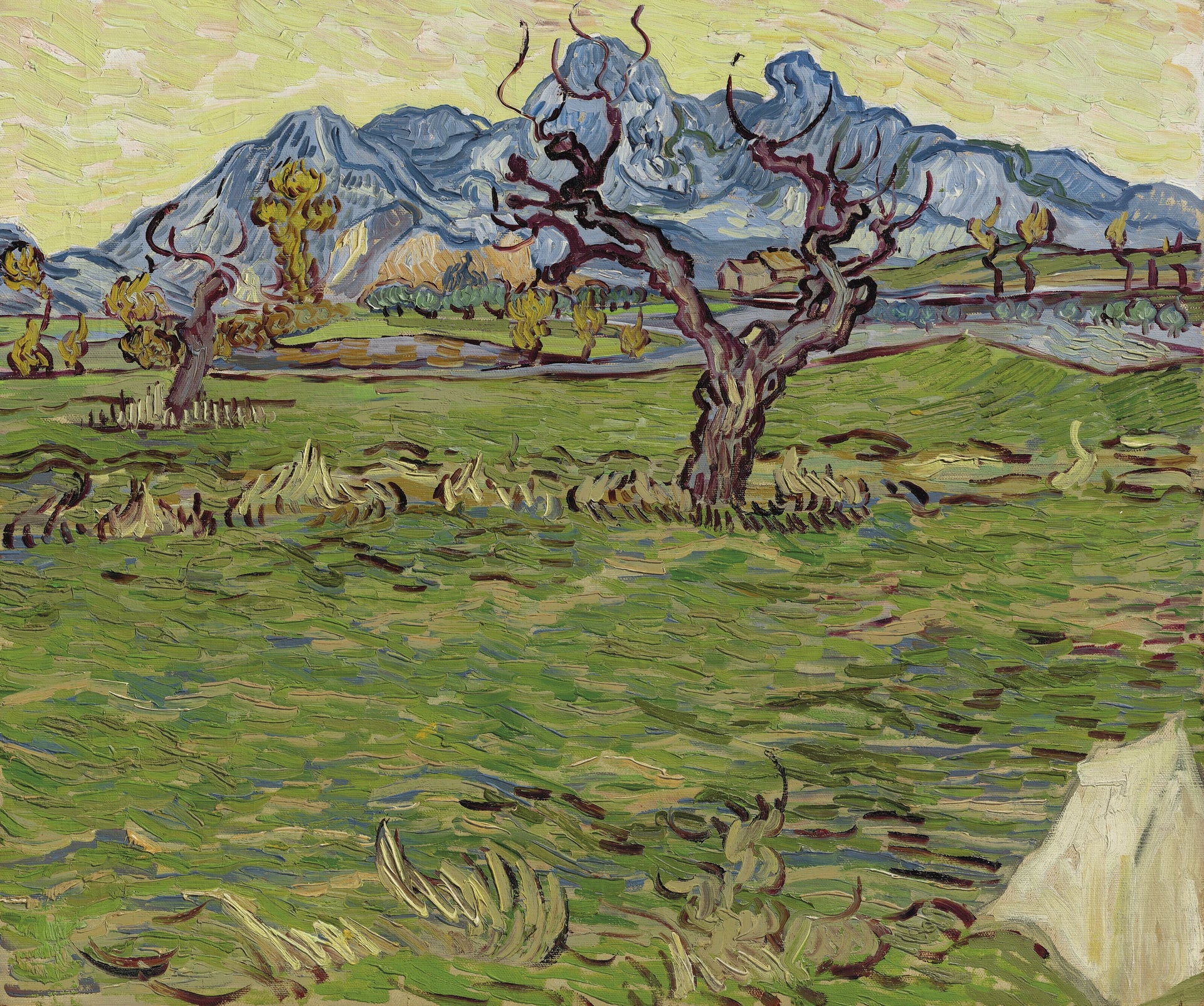 Champs près des Alpilles de Vincent van Gogh, F663, collection particulière