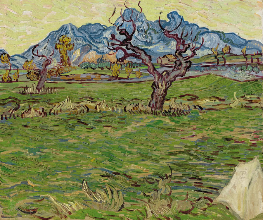Campi vicino alle Alpilles - Vincent van Gogh