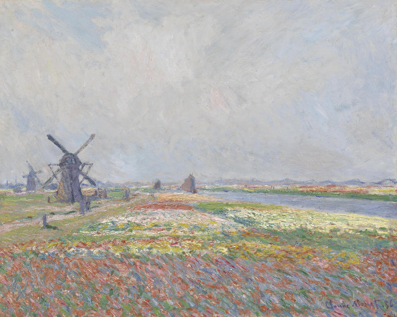 Campi di tulipani vicino a L'Aia W1068 - Claude Monet