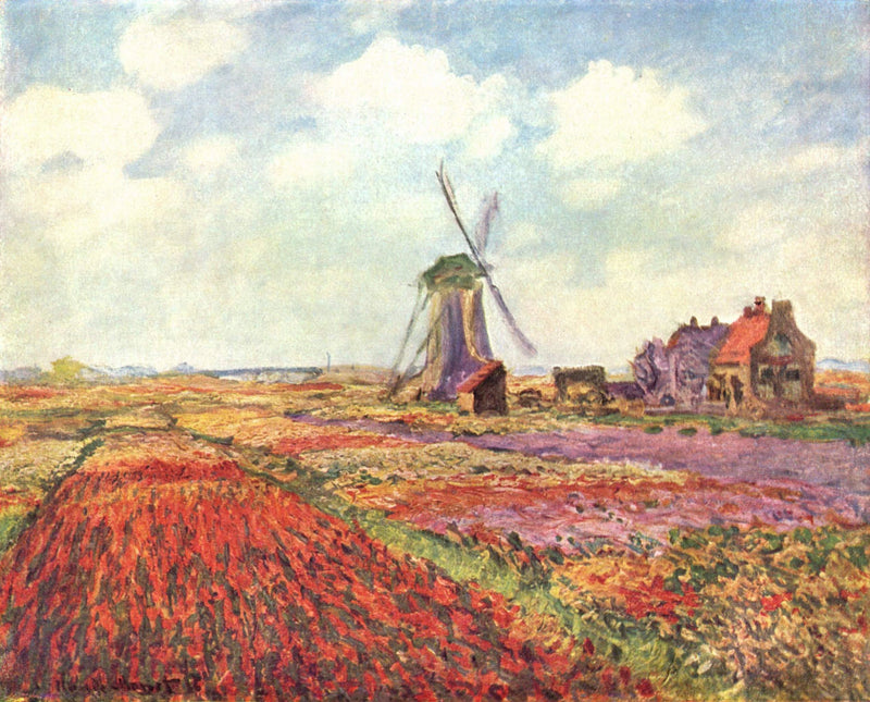 Campi di tulipani in Olanda W1067 - Claude Monet