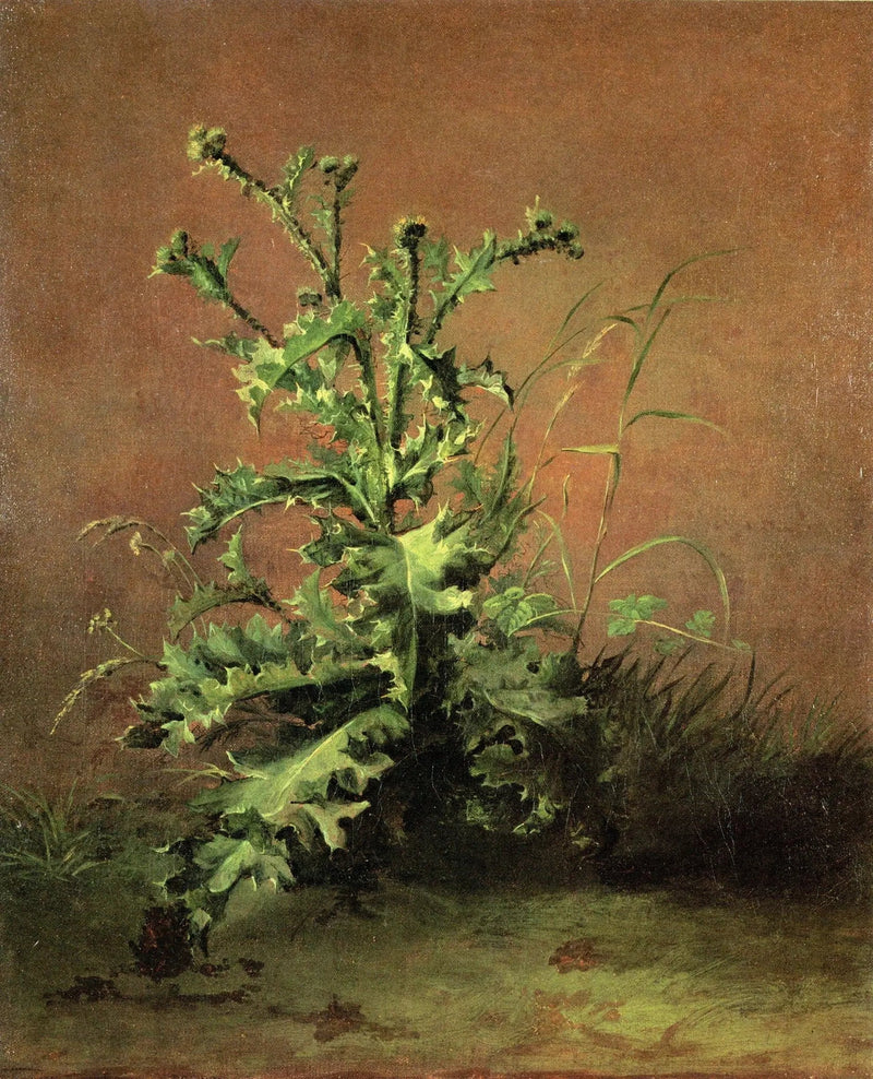 Cardo - Édouard Manet
