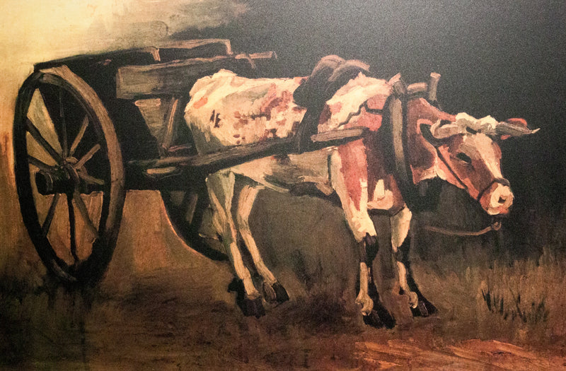 Carro con bue rosso e bianco - Vincent van Gogh