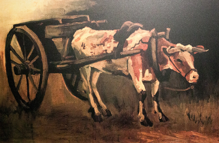 Carro con bue rosso e bianco - Vincent van Gogh