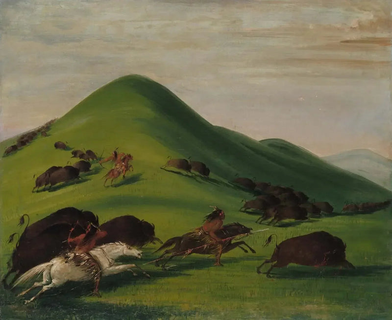 Caccia al bisonte su Prairie Bluffs - George Catlin