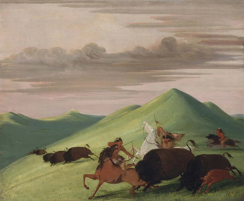 Caccia al bisonte, toro che protegge una mucca e il suo vitello - George Catlin