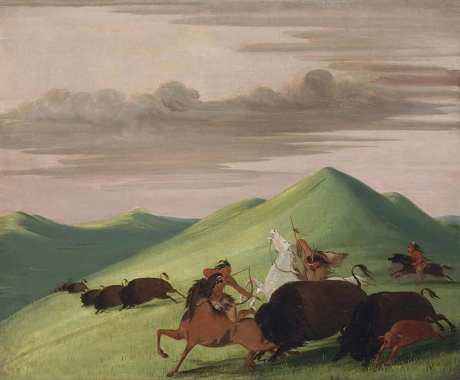 Caccia al bisonte, toro che protegge una mucca e il suo vitello - George Catlin