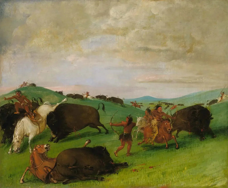 Caccia al bisonte, tori che combattono con uomini e cavalli - George Catlin