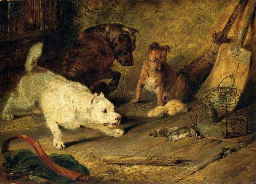Cacciatori di ratti - Edwin Henry Landseer