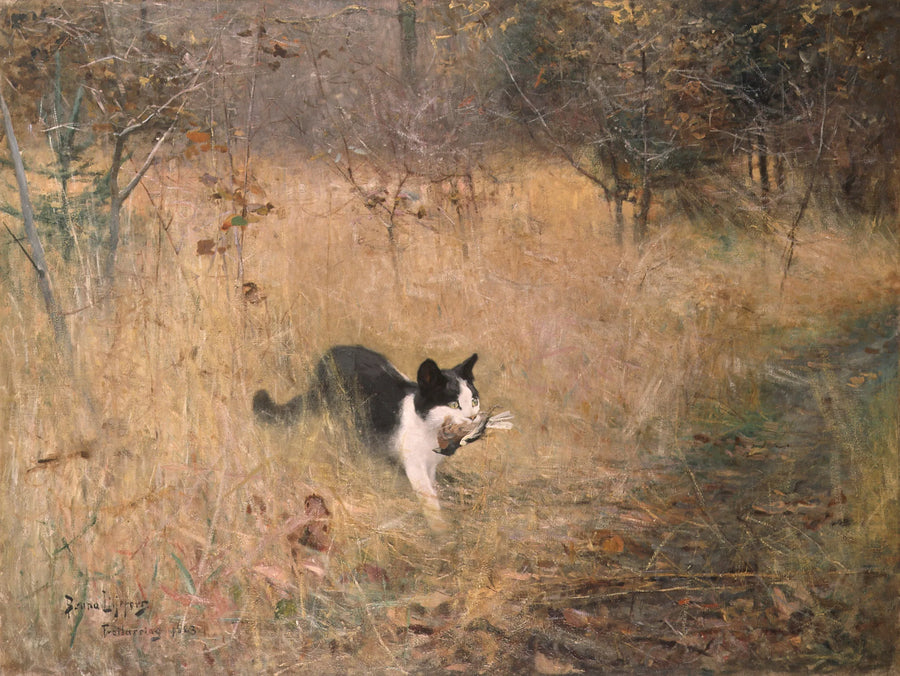 Gatto che insegue gli uccelli - Bruno Liljefors