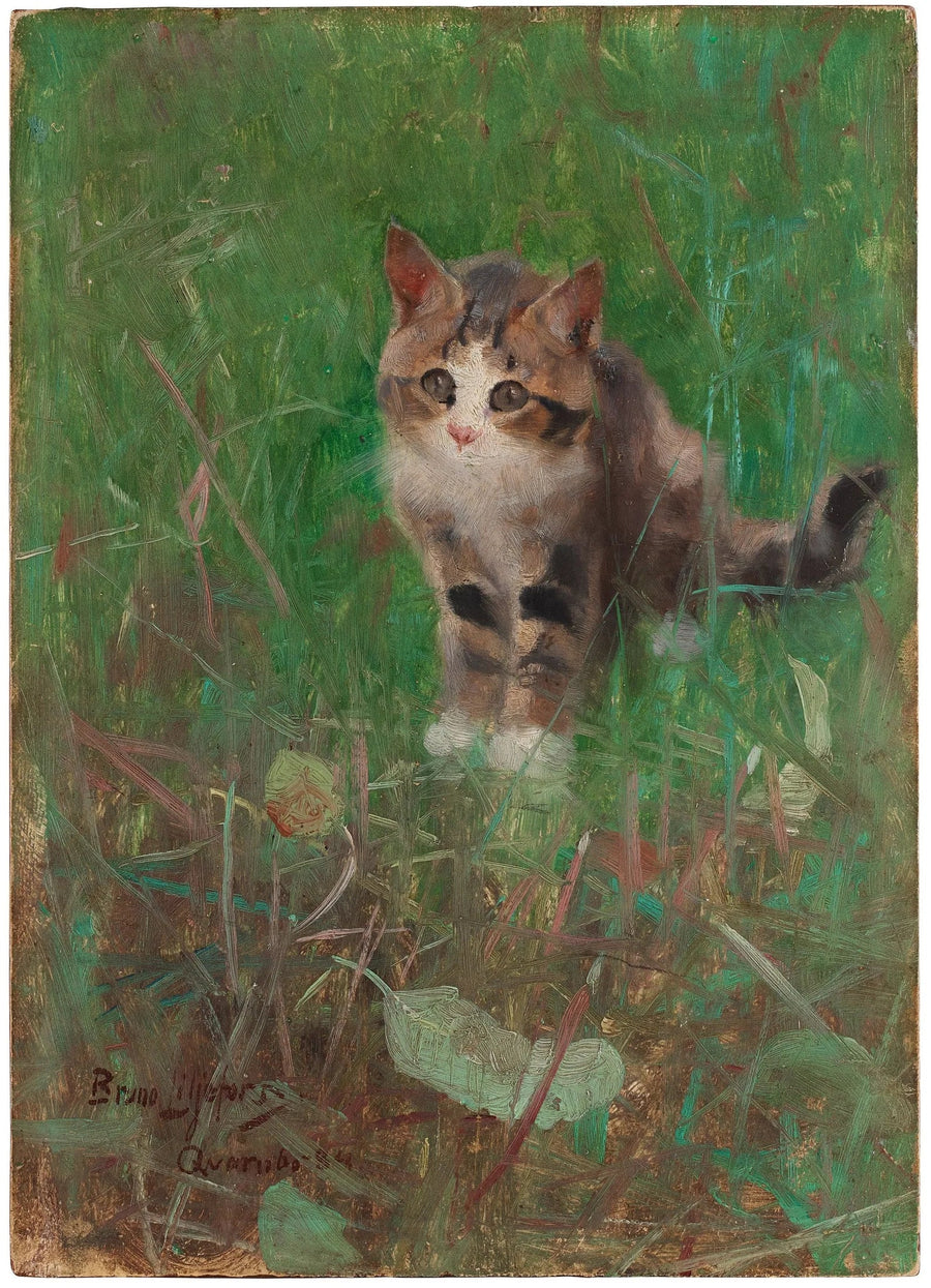 Gatto nel verde estivo - Bruno Liljefors