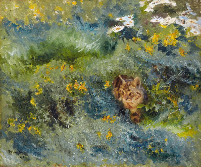 Gatto in un prato fiorito d'estate - Bruno Liljefors