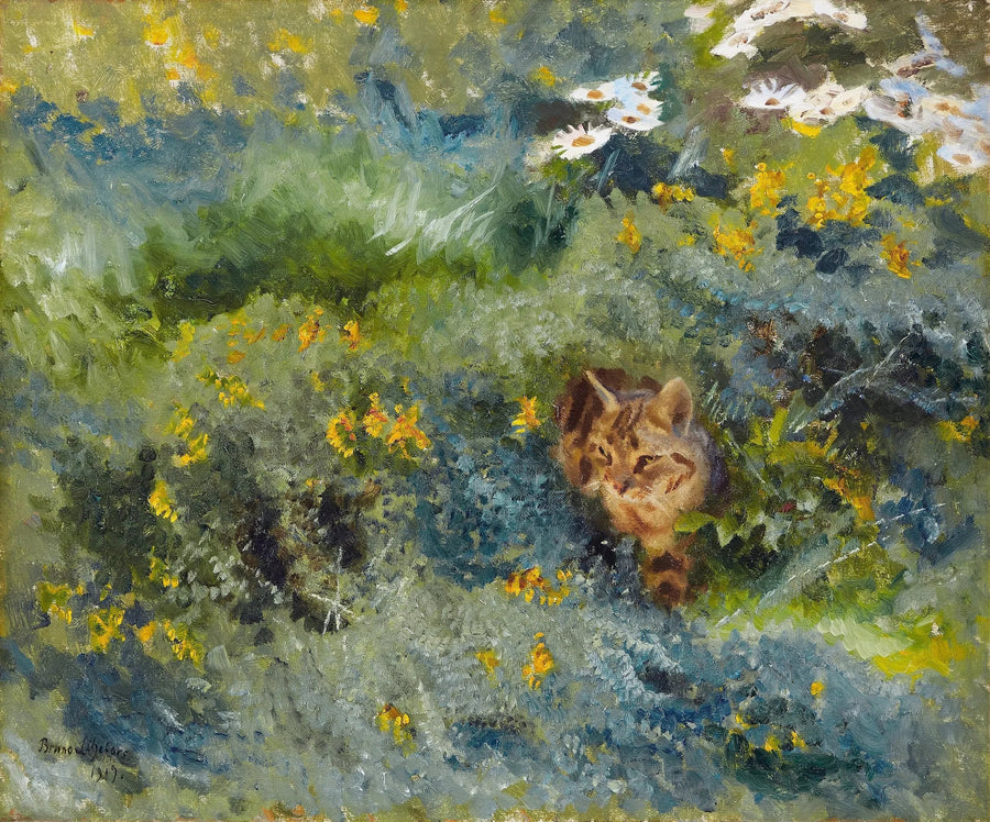 Gatto in un prato fiorito d'estate - Bruno Liljefors