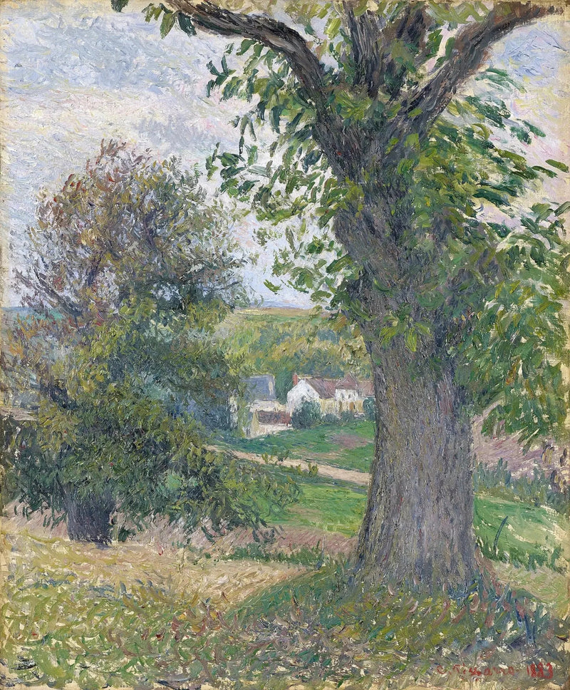 Castagni a Osny - Camille Pissarro