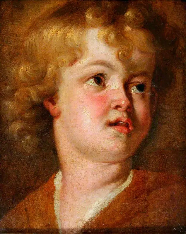Capo di un giovane - Antoine van Dyck