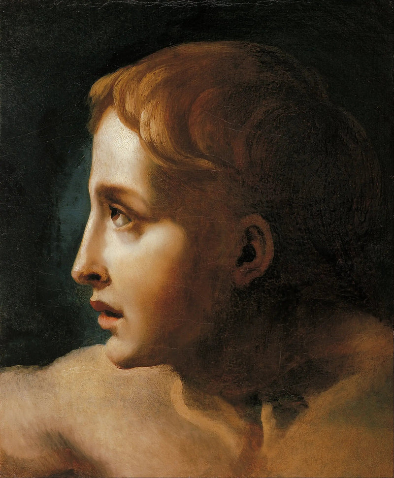 Capo di un giovane - Théodore Géricault