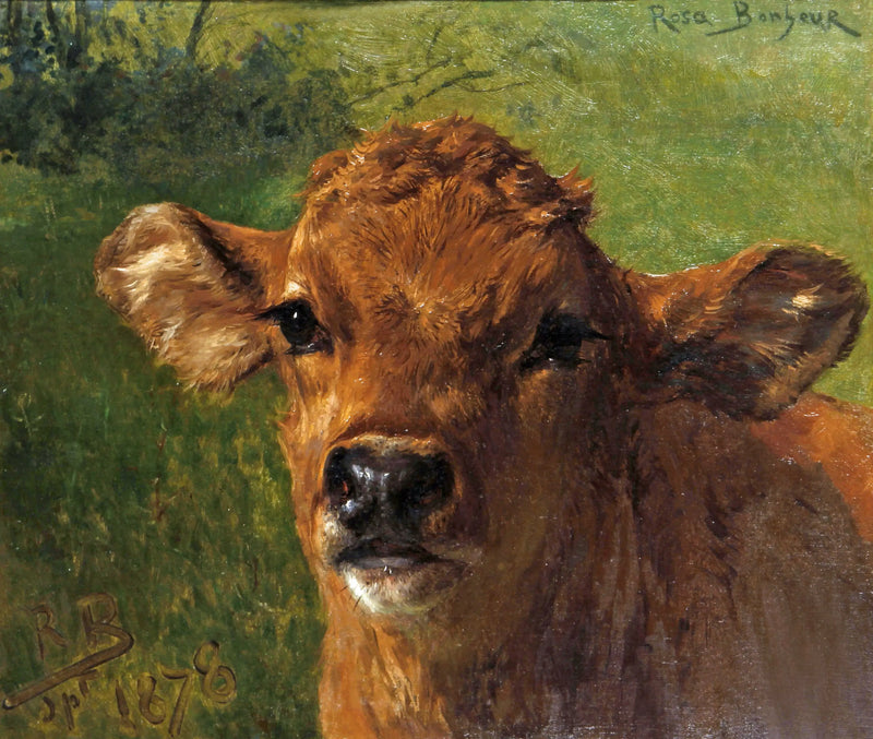 Capo di un vitello - Rosa Bonheur