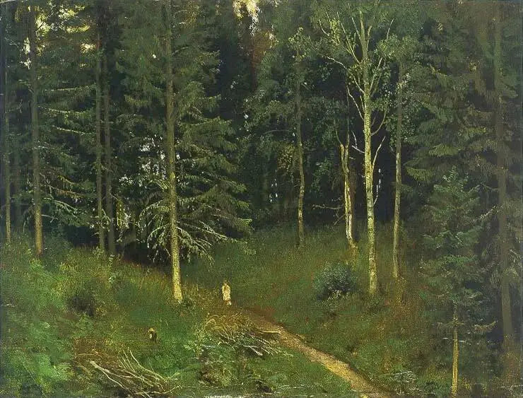Sentiero nel bosco (foresta di abeti) - Ivan Chichkine