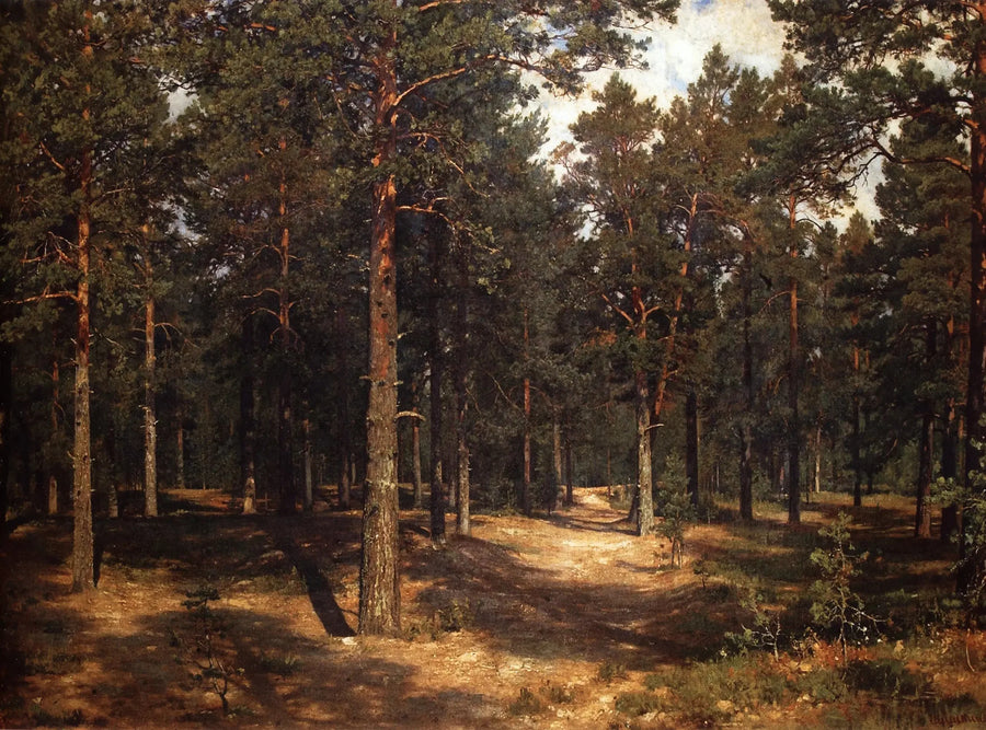 Sentiero tra i pini - Ivan Chichkine
