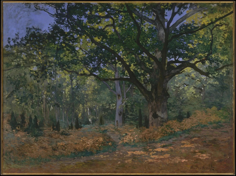 La quercia Bodmer, foresta di Fontainebleau W60 - Claude Monet