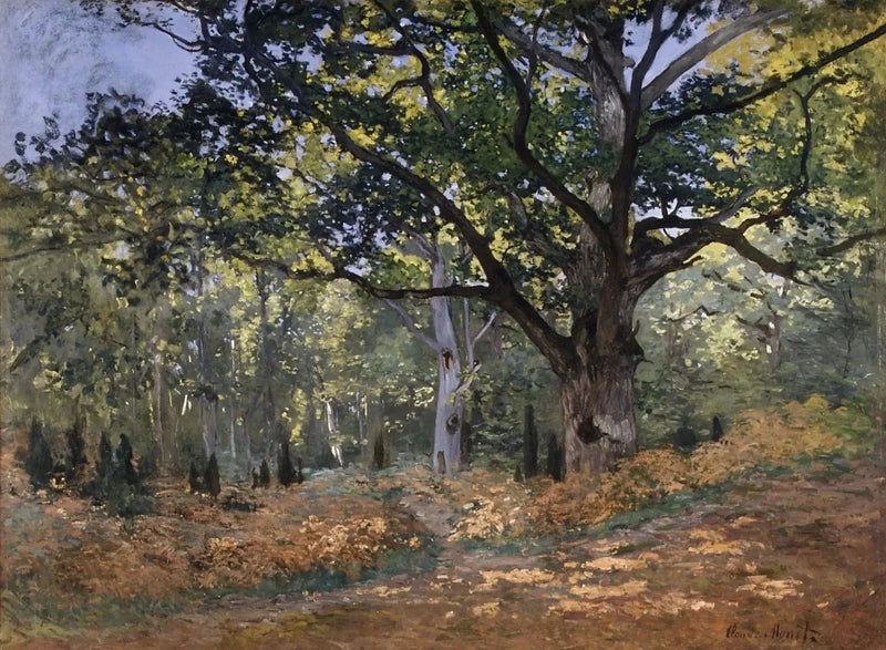 La quercia Bodmer, foresta di Fontainebleau W60 - Claude Monet