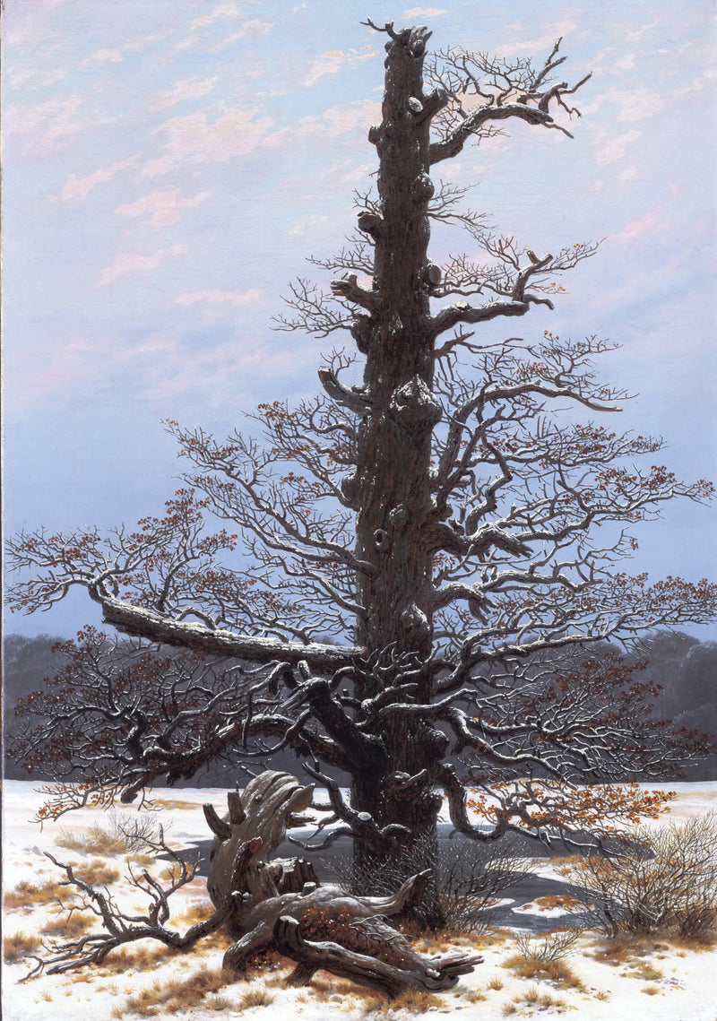 Quercia sotto la neve - Caspar David Friedrich