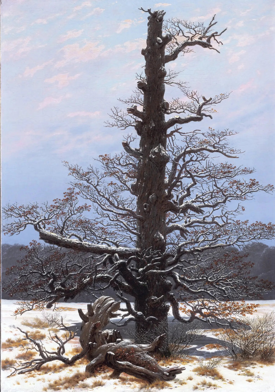Quercia sotto la neve - Caspar David Friedrich