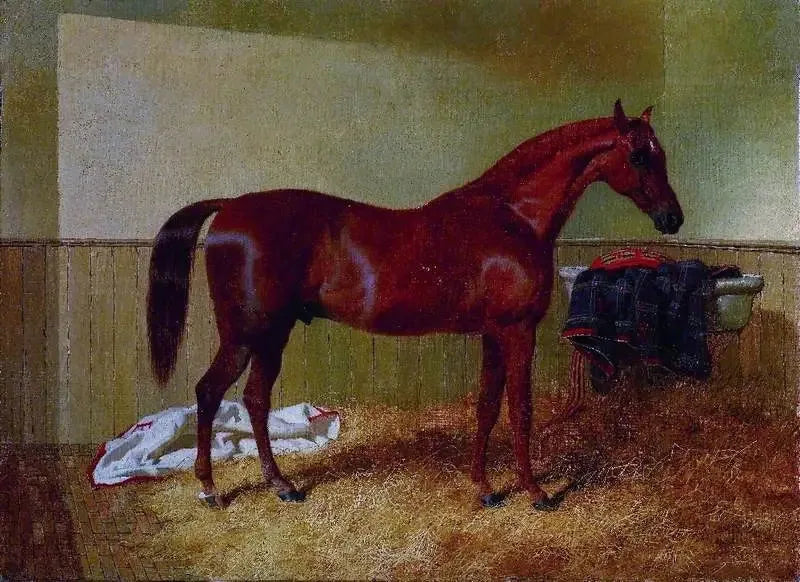 Cavallo baio in una scuderia - John Frederick Herring, Sr.