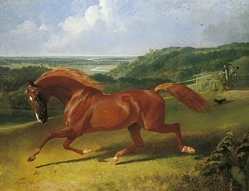 Cavallo al galoppo in un campo - John Frederick Herring, Sr.