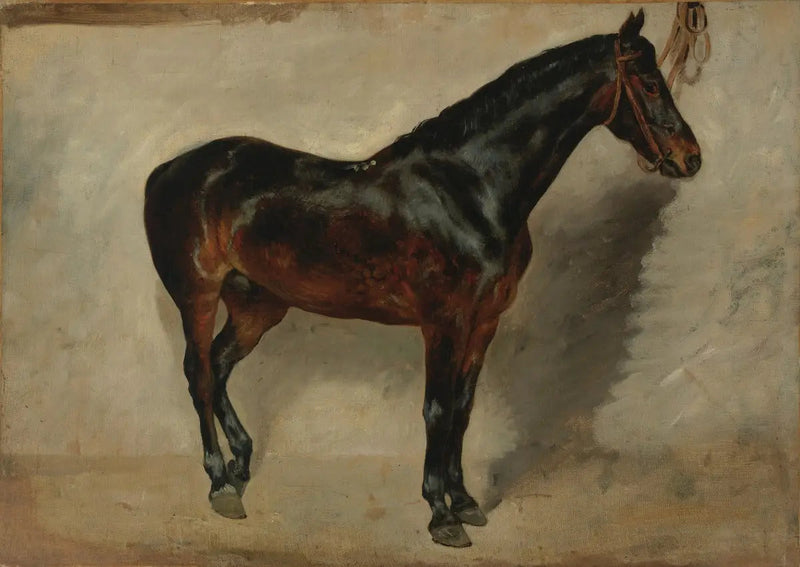 Cavallo baio-marrone alla cavezza - Eugène Delacroix