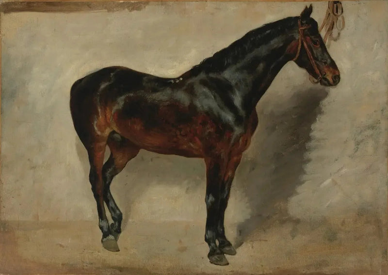 Cavallo baio-marrone alla cavezza - Eugène Delacroix