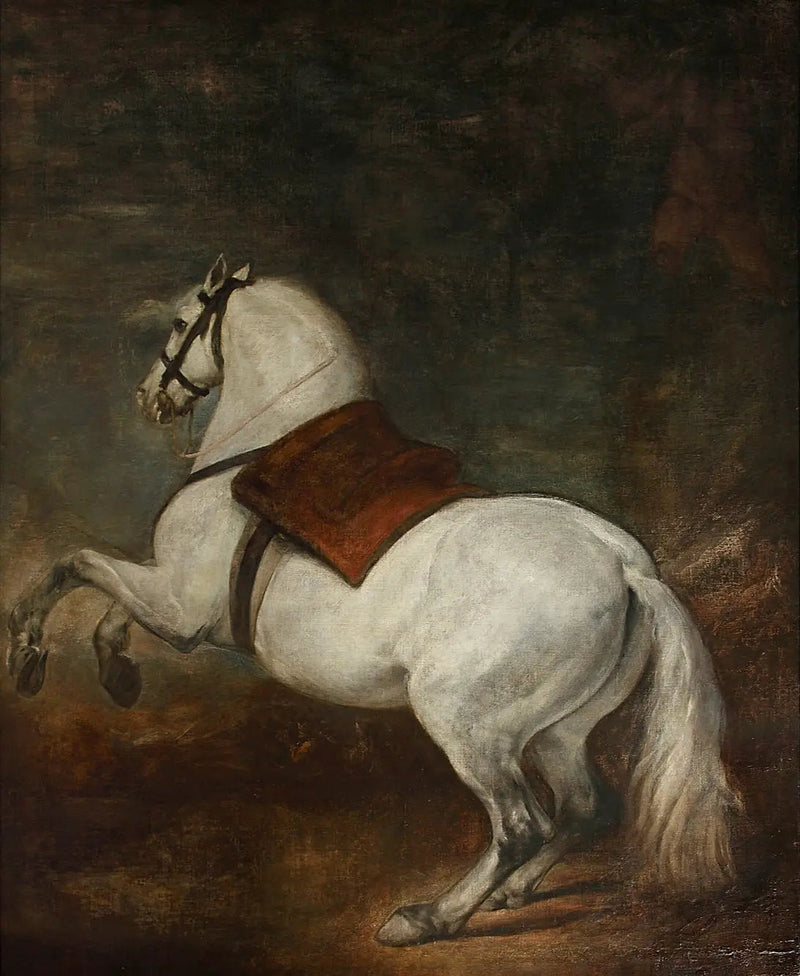 Cavallo bianco - Diego Velázquez