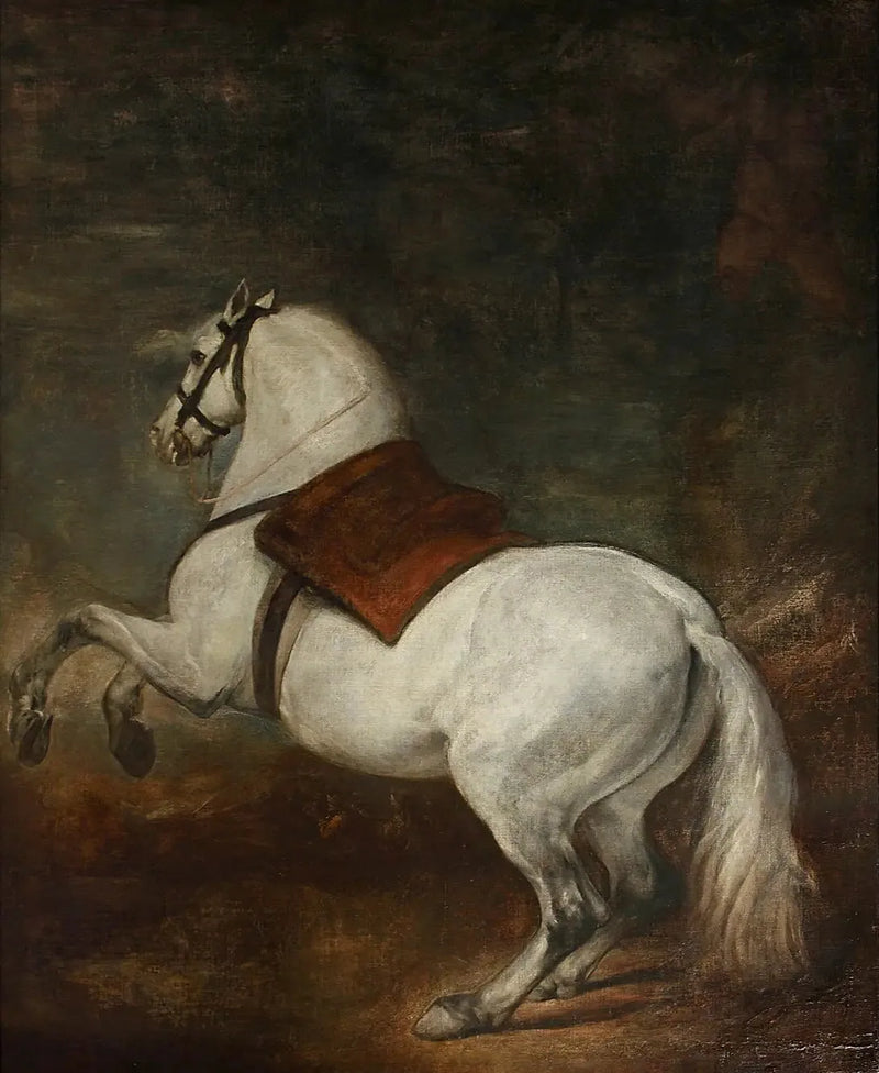 Cavallo bianco - Diego Velázquez