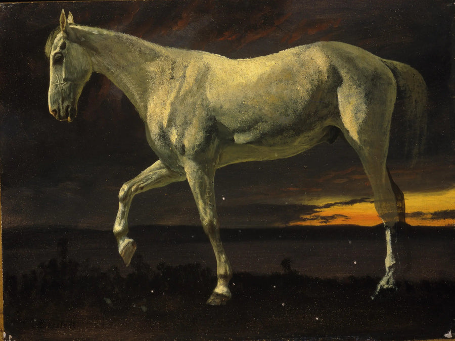 Cavallo bianco e tramonto - Albert Bierstadt