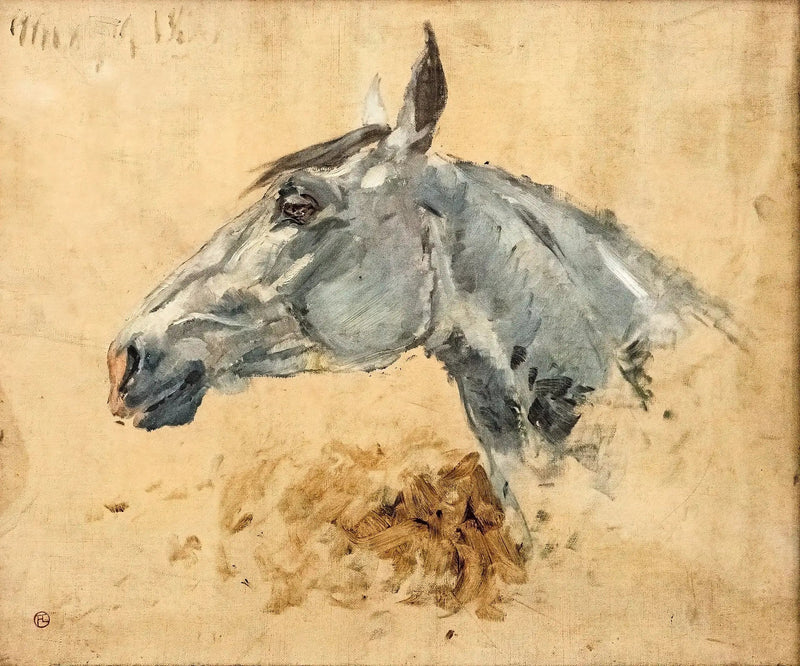 Cavallo bianco Gazelle - Henri de Toulouse-Lautrec