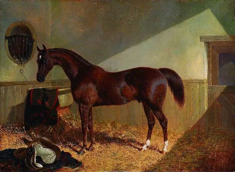Cavallo marrone in una scuderia - John Frederick Herring, Sr.