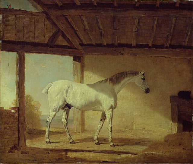 Le cheval du comte de Coventry - Benjamin Marshall