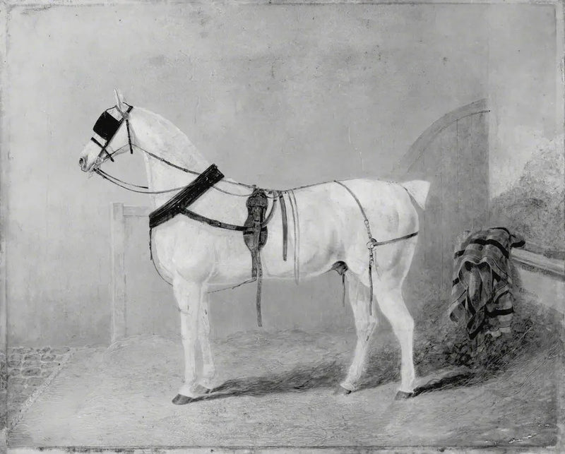 Cavallo da carrozza in scuderia - John Frederick Herring, Sr.