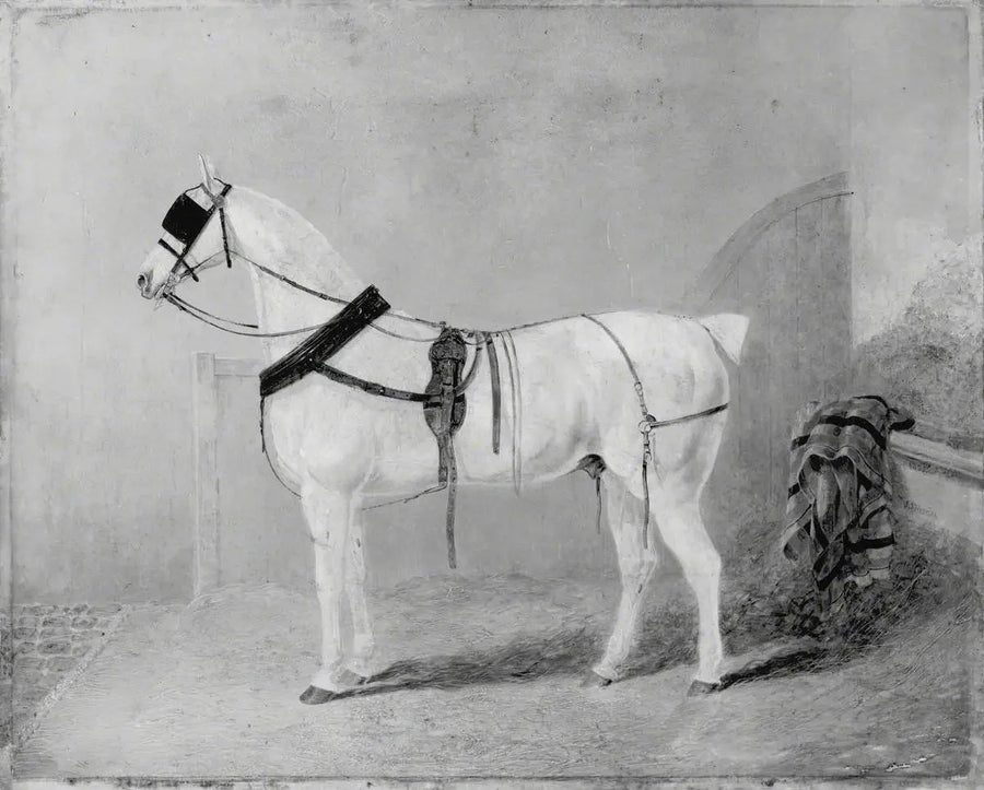 Cavallo da carrozza in scuderia - John Frederick Herring, Sr.