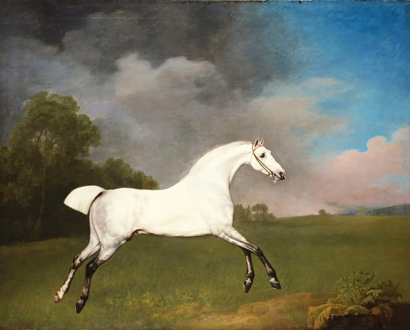 Cavallo grigio che galoppa in un campo - George Stubbs
