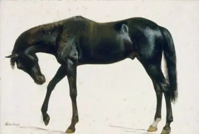 Cavallo nero - Albert Bierstadt