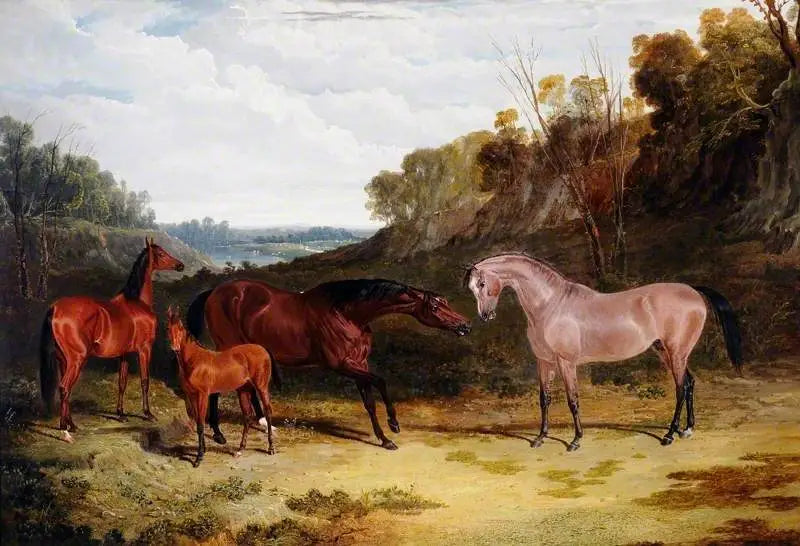 Cavalli in un paesaggio - John Frederick Herring, Sr.