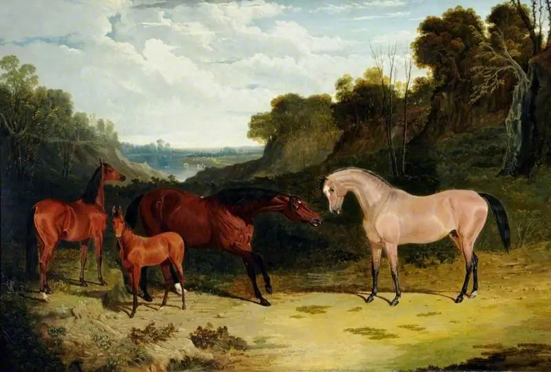 Cavalli in un paesaggio - John Frederick Herring, Sr.