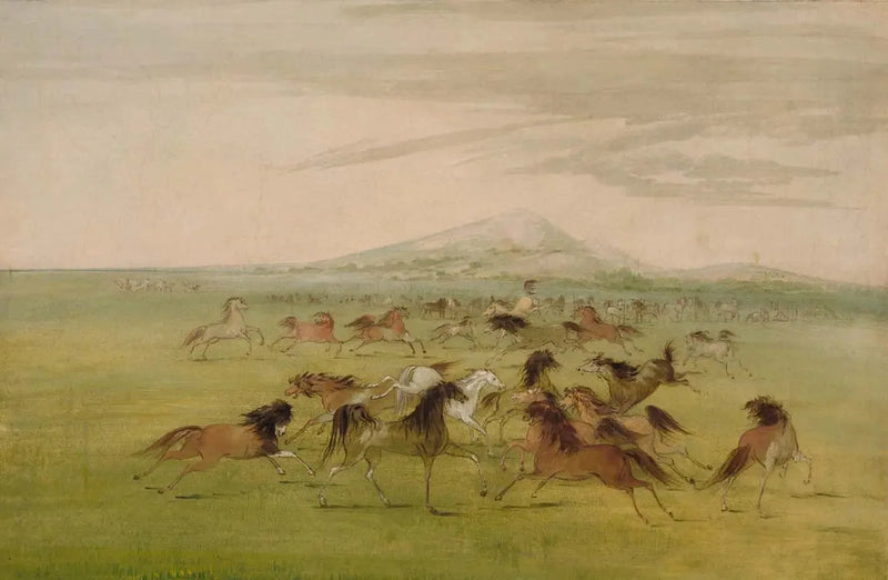 Cavalli selvaggi in gioco - George Catlin