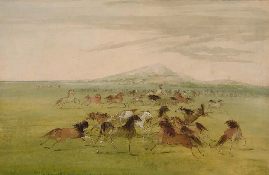Cavalli selvaggi in gioco - George Catlin
